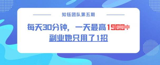 副业她只用了1招，每天30分钟，无脑二创，一天最高1.5k-AI网创