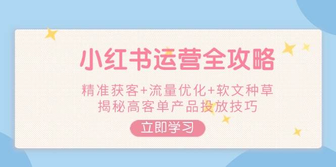 小红书运营全攻略，精准获客+流量优化+软文种草，揭秘高客单产品投放技巧-AI网创