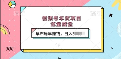 视频号年货项目，流量贼猛，早布局早挣钱，日入上k【揭秘】-AI网创