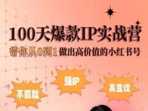 小红书100天爆款IP实战营，带你从0到1做出高价值的小红书号-AI网创