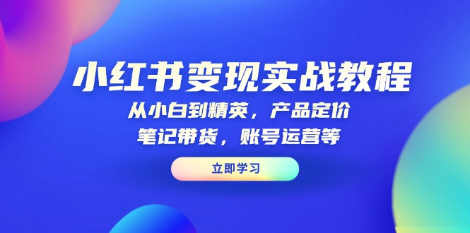 小红书变现实战教程：从小白到精英，产品定价，笔记带货，账号运营等-AI网创