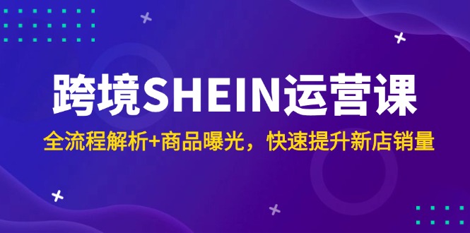 跨境SHEIN运营课，全流程解析+商品曝光，快速提升新店销量-AI网创
