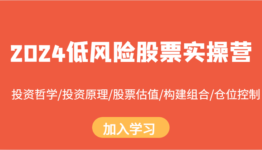 2024低风险股票实操营：投资哲学/投资原理/股票估值/构建组合/仓位控制-AI网创