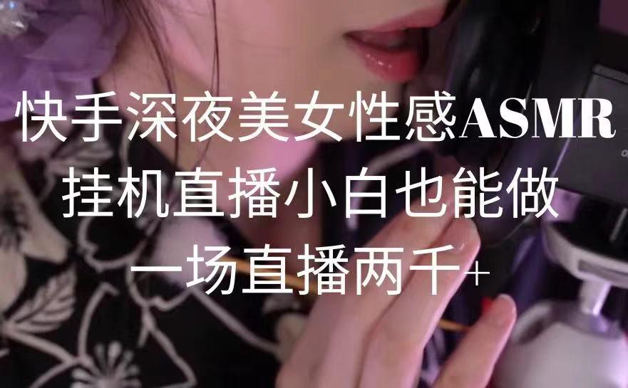 快手深夜美女性感ASMR挂机直播，小白也能做，一场直播两千+-AI网创