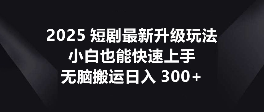 2025短剧最新升级玩法，小白也能快速上手，无脑搬运日入300+-AI网创