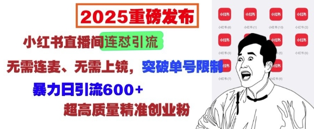 2025重磅发布：小红书直播间连怼引流，无需连麦、无需上镜，突破单号限制，暴力日引流600+-AI网创
