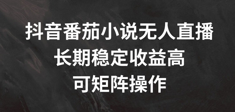 抖音番茄小说无人直播，长期稳定收益高，可矩阵操作【揭秘】-AI网创
