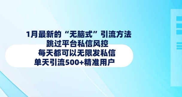 1月最新的无脑式引流方法，跳过平台私信风控，每天都可以无限发私信，单天引流500+精准用户-AI网创