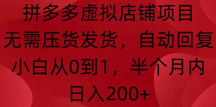 拼多多虚拟店铺项目，无需压货发货，自动回复，小白从0到1，半个月内日入200+【揭秘】-AI网创