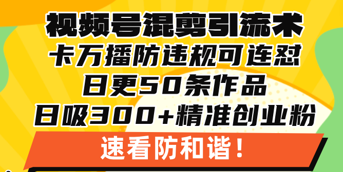 视频号混剪引流技术，500万播放引流17000创业粉，操作简单当天学会-AI网创