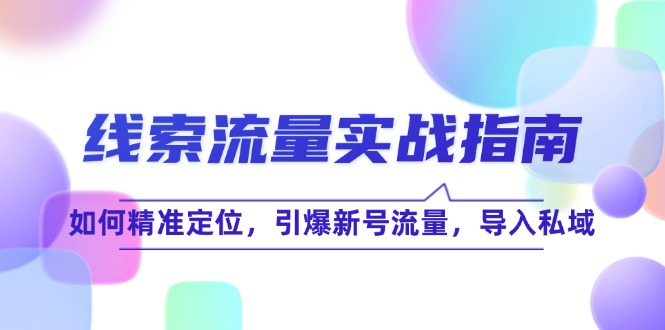 线 索 流 量-实战指南：如何精准定位，引爆新号流量，导入私域-AI网创