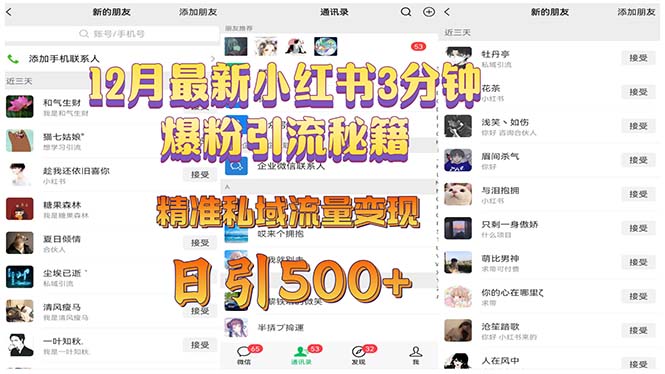12月最新小红书3分钟爆粉引流秘籍 精准私域流量变现 日引500+-AI网创