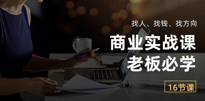 商业实战课【老板必学】：找人、找钱、找方向(16节课-AI网创