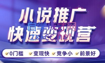 洲洲老师·小说推广快速变现营-AI网创