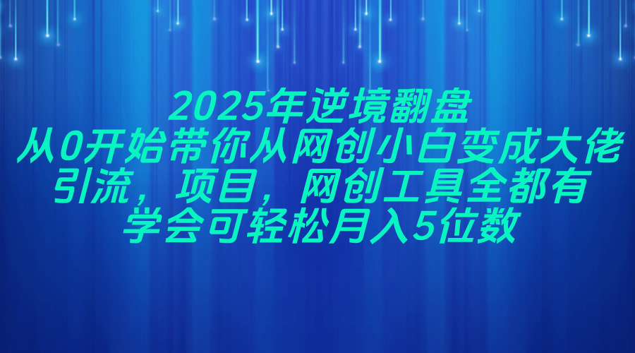 2025年逆境翻盘，从0开始带你从网创小白变成大佬，引流，项目，网创工…-AI网创