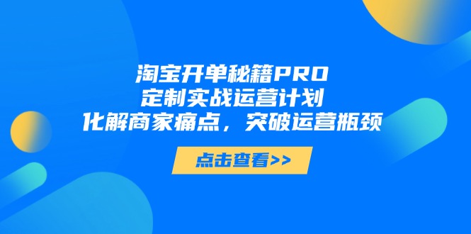 淘宝开单秘籍PRO，定制实战运营计划，化解商家痛点，突破运营瓶颈-AI网创