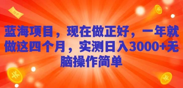 蓝海项目，现在做正好，一年就做这4个月，实测日入3000+，无脑简单操作！-AI网创