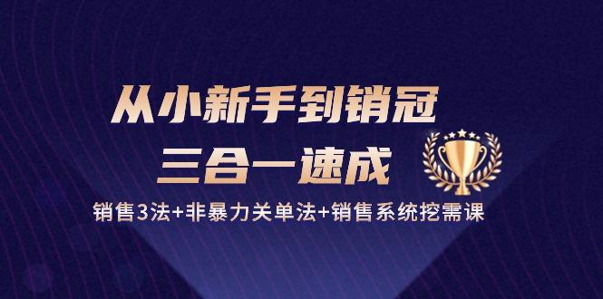 从小新手到销冠 三合一速成：销售3法+非暴力关单法+销售系统挖需课 (27节-AI网创