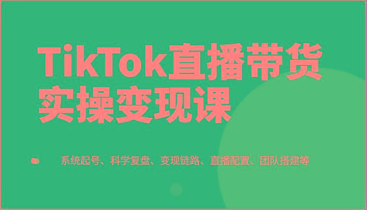 TikTok直播带货实操变现课：系统起号、科学复盘、变现链路、直播配置、团队搭建等-AI网创
