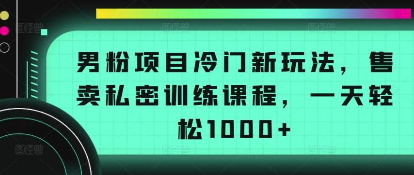 男粉项目冷门新玩法，售卖私密训练课程，一天轻松1000+【揭秘】-AI网创