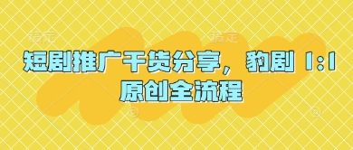 短剧推广干货分享，豹剧 1:1原创全流程-AI网创