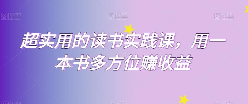 超实用的读书实践课，用一本书多方位赚收益-AI网创