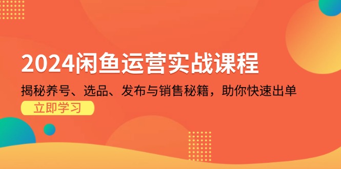 2024闲鱼运营实战课程：揭秘养号、选品、发布与销售秘籍，助你快速出单-AI网创