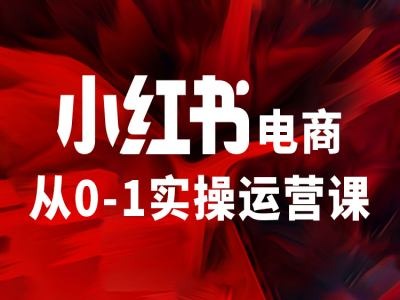 小红书电商从0-1实操运营课，让你从小白到精英-AI网创