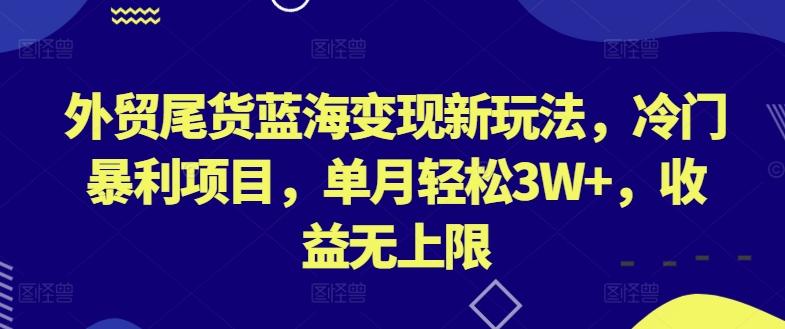 外贸尾货蓝海变现新玩法，冷门暴利项目，单月轻松3W+，收益无上限【揭秘】-AI网创