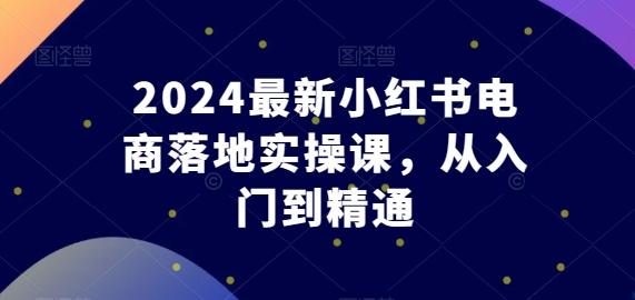 2024最新小红书电商落地实操课，从入门到精通-AI网创
