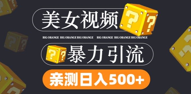 搬运tk美女视频全网分发，日引s粉300+，轻松变现，不限流量不封号【揭秘】-AI网创