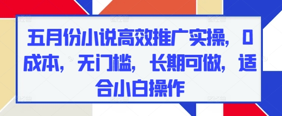 五月份小说高效推广实操，0成本，无门槛，长期可做，适合小白操作-AI网创