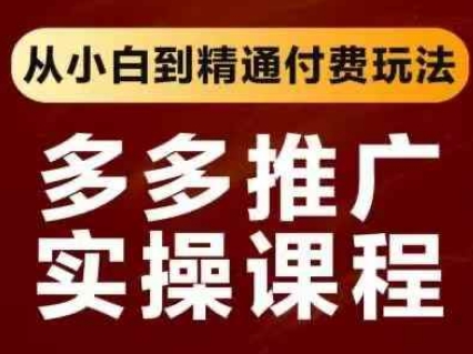 拼多多推广实操课程，从小白到精通付费玩法-AI网创