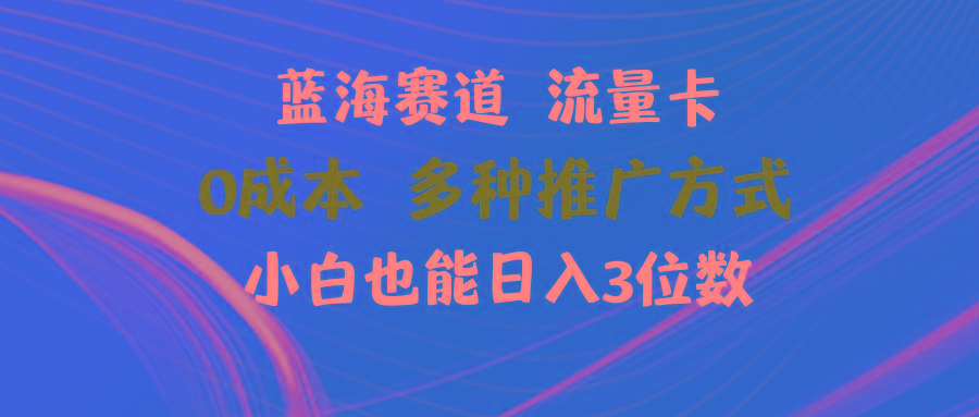 蓝海赛道 流量卡 0成本 小白也能日入三位数-AI网创