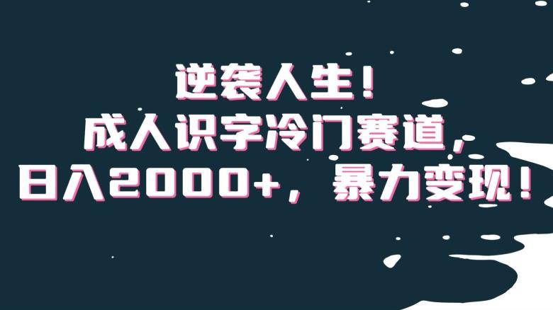 逆袭人生！成人识字冷门赛道，日入2000+，暴力变现！【揭秘】-AI网创