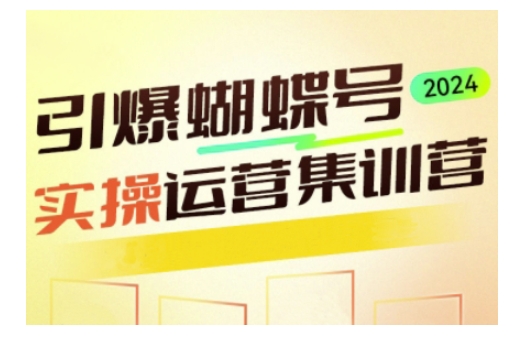 引爆蝴蝶号实操运营，助力你深度掌握蝴蝶号运营，实现高效实操，开启流量变现之路-AI网创