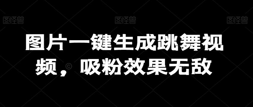 图片一键生成跳舞视频，吸粉效果无敌-AI网创