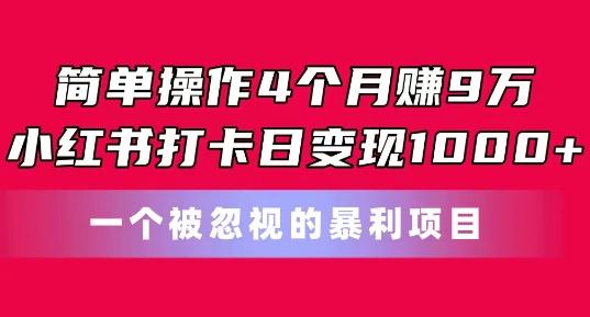 简单操作4个月赚9w，小红书打卡日变现1k，一个被忽视的暴力项目【揭秘】-AI网创