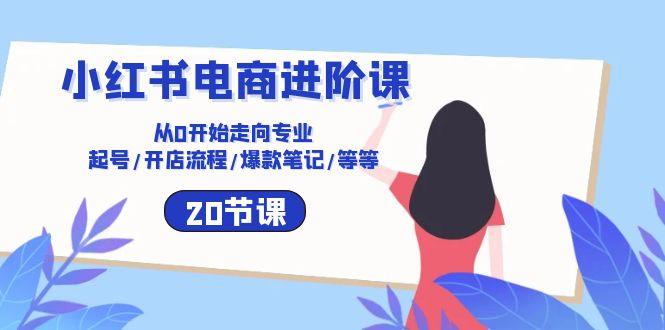 小红书电商进阶课：从0开始走向专业 起号/开店流程/爆款笔记/等等(20节-AI网创