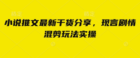 小说推文最新干货分享，现言剧情混剪玩法实操-AI网创