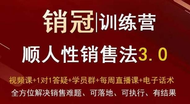 爆款！销冠训练营3.0之顺人性销售法，全方位解决销售难题、可落地、可执行、有结果-AI网创