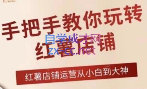 海燕老师·2024手把手教你玩转红薯店铺-AI网创