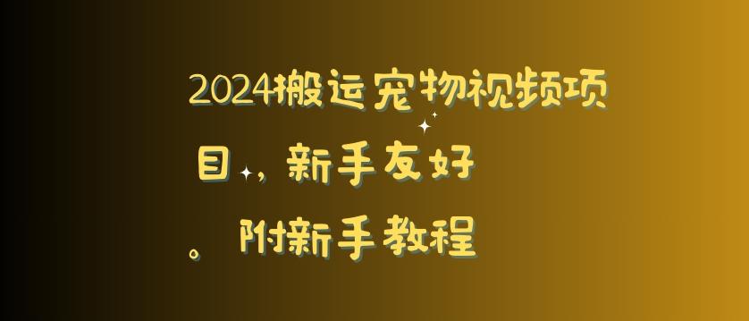 2024搬运宠物视频项目，新手友好，完美去重，附新手教程【揭秘】-AI网创