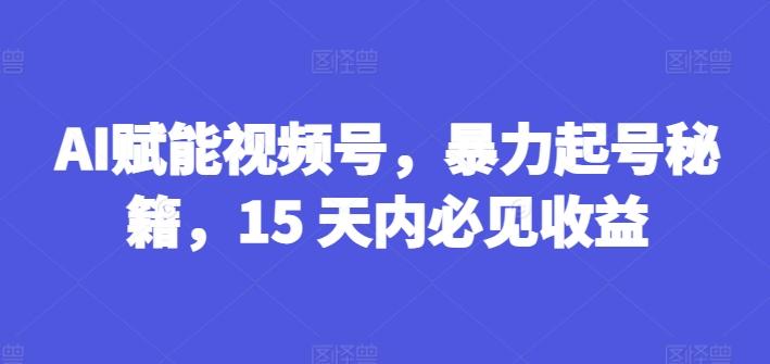 AI赋能视频号，暴力起号秘籍，15 天内必见收益【揭秘】-AI网创