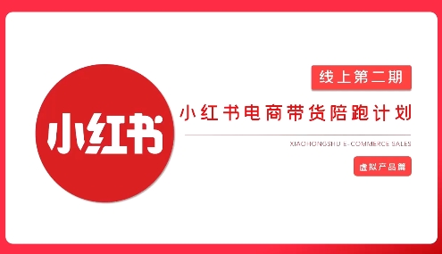 2025小红书虚拟电商实战课，从0到1打造无货源店铺，AI+爆款笔记轻松变现-AI网创
