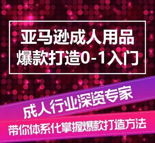 亚马逊成人用品爆款打造0-1入门，系统化讲解亚马逊成人用品爆款打造的流程-AI网创