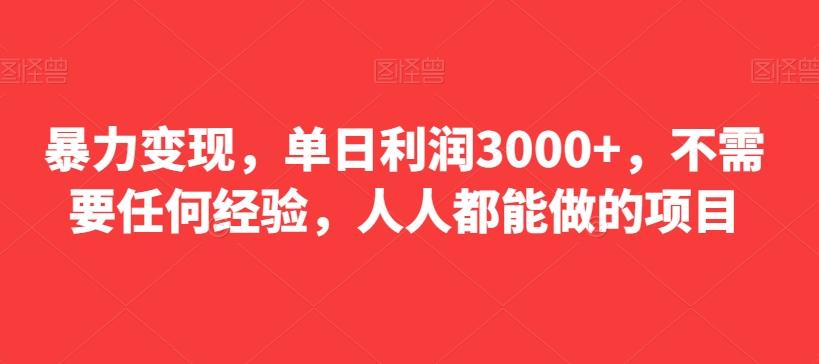 暴力变现，单日利润3000+，不需要任何经验，人人都能做的项目-AI网创