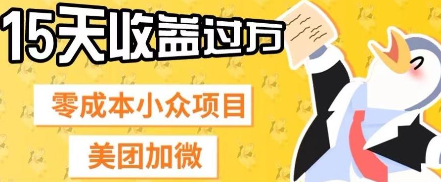 零成本小众项目，美团加微，一单4.5+，15天已经有人赚上万收益-AI网创