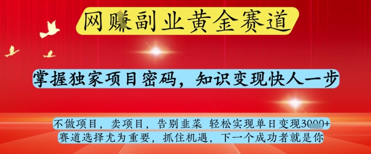 网创副业黄全赛道，掌握独家项目密码，知识变现快人一步，告别韭菜轻松实现单日变现1k+【揭秘】-AI网创