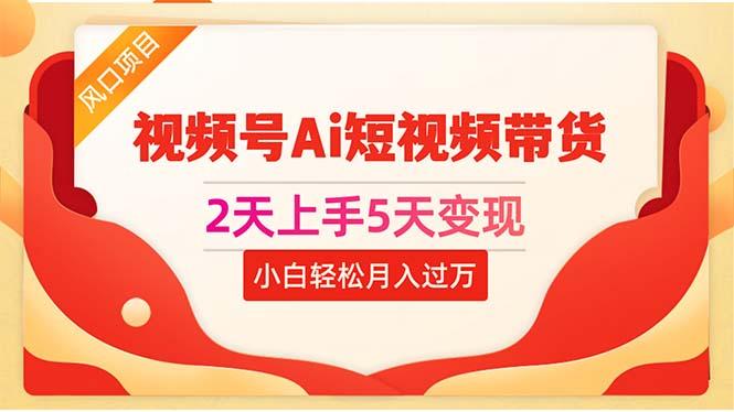 2天上手5天变现视频号Ai短视频带货0粉丝0基础小白轻松月入过万-AI网创